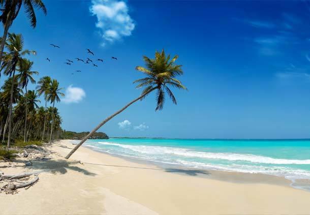 Mangro Hotel Diani Beach Buitenkant foto